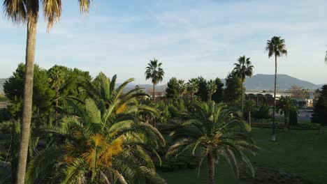 Beautiful-park-with-palmtrees-in-Greece