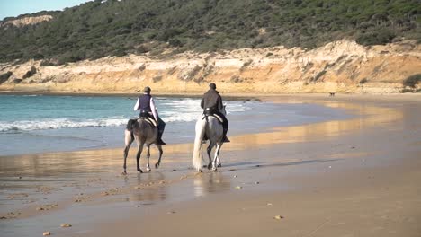Wide-handheld-shot-of-two-riders-with-their-horses-galloping-along-the-beach-with-calm-waves-overlooking-the-landscape