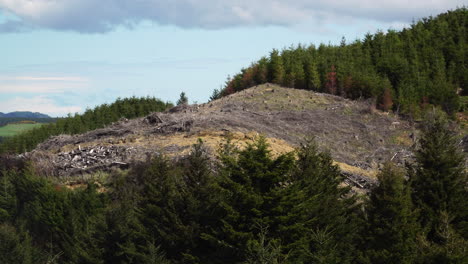 A-scarred-barren-hilltop-after-industrial-tree-clearing-on-the-edge-of-forest