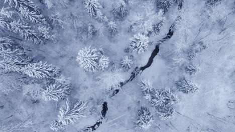 4k-Luftvideo-Des-Nördlichen-Naturwaldes-Im-Winter-Nach-Schneesturm