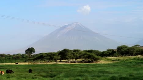 Sensational-establisher-shot-of-Mount-Kilimanjaro-at-distance-with-wild-animals