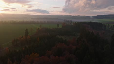 Luftaufnahme-Der-Ländlichen-Landschaft-Mit-Wäldern-Und-Feldern