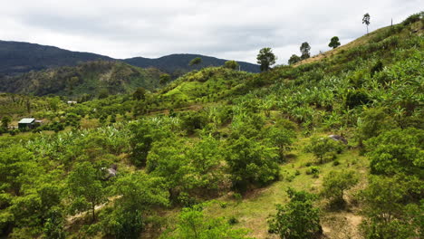 Malerische-Landschaft-Auf-Den-Hügeln-Des-Phuoc-Binh-Nationalparks-In-Vietnam-Mit-Einer-Luftdrohnenaufnahme,-Die-Den-üppigen-Grünen-Wald-Enthüllt
