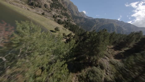 FPV-drone-speeding-through-trees-in-Porté-Puymorens-valley-lake-fir-tree-woodland