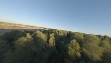 Increíble-Dron-Fpv-épico-Rápido-Que-Vuela-Sobre-Las-Copas-De-Los-árboles-En-El-Campo-Catalán