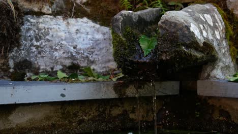 Runoff-water-or-spring-water-drizzling-down-a-stone-gutter-in-Spain's-countryside