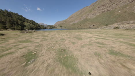 FPV-drone-speeding-between-alpine-trees-towards-Porté-Puymorens-Pyrenees-woodland-lake