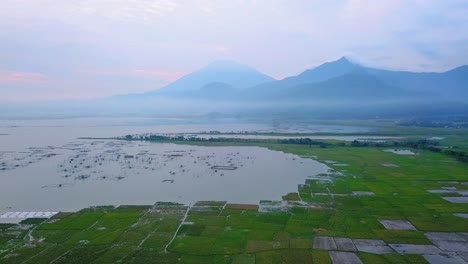 Drone-shot-of-many-fish-cages-on-the-lakeside-with-green-rice-field-and-mountain-on-the-background---Rawa-Pening-Lake,-Indonesia