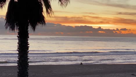 Palmenschattenbild-Auf-Rotem-Sonnenuntergang