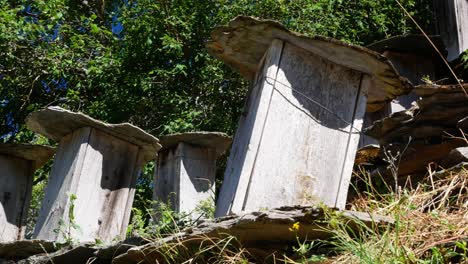Alte-Bienenstöcke-Aus-Rohem-Holz-Mit-Baumrindenspitzen