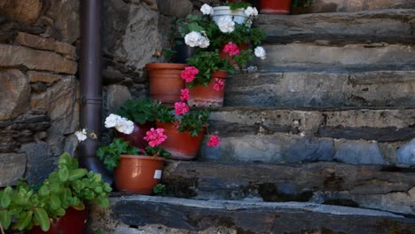 Decorative-plants-and-flowers-in-pots-along-some-ancient,-outdoor-stairs
