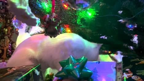 Gato-Curioso-Explora-El-árbol-De-Navidad