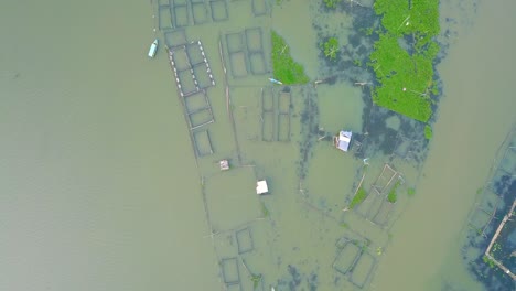 Aerial-top-down-shot-of-fish-cages-in-natural-lake-of-Indonesia---Aquaculture-topic