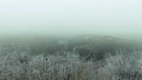 Slow-rise-above-leafless-trees-in-winter-to-reveal-foggy-and-snow-covered-forest-full-of-trees-in-a-valley
