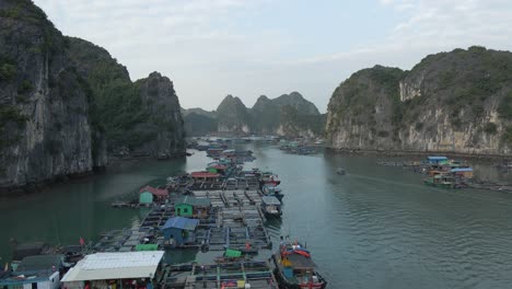 Aerial:-Boats-at-floating-fish-farm-village-in-Ha-Long-Bay,-Vietnam