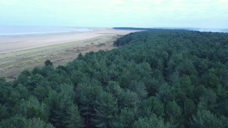 High-Aerial-Drone-Shot-Over-Pine-Woodland-Forest-Next-to-Large-Sandy-Beach-North-Norfolk-UK