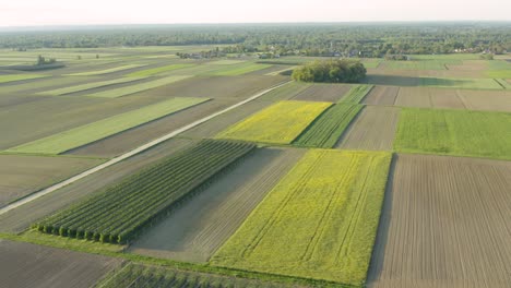 Luftaufnahme-Von-Grünen-Landwirtschaftlichen-Feldern-Und-Kulturen-Im-Norden-Europas