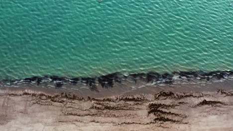 Herrliche-Aufsteigende-Luftaufnahme-Aus-Der-Vogelperspektive-Eines-Exotischen-Tropischen-Strandes-In-Well-Beach-In-Der-Nähe-Von-Joao-Pessoa,-Brasilien-An-Einem-Warmen-Sommertag