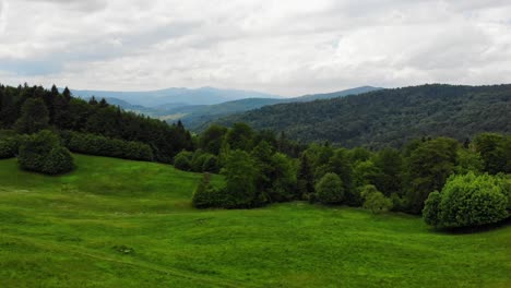Mountain-meadow-and-pristine-forest-in-Beskid-Sadecki-mountains,-Poland