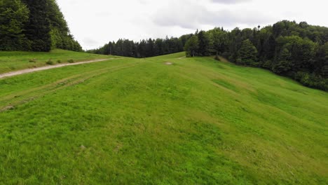 Wanderweg-Zwischen-Grüner-Wiese-Und-Wald-Im-Beskid-Sadecki-berg,-Polen,-Luftbild