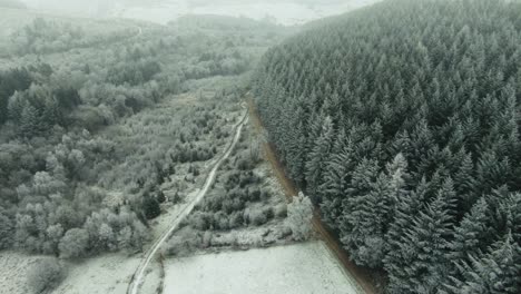 Drone-reveal-of-snow-and-frost-covered-forest-in-the-remote-wilderness-of-Dalby-forest-full-of-confier-christmas-trees