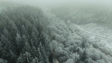 Drone-parallax-rising-away-from-snow-covered-forest-full-of-white-and-green-trees-as-it-ascends-into-misty-fog