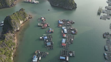 Vietnamesische-Schwimmende-Fischteiche-In-Der-Nähe-Der-Insel-Cat-Ba-In-Ha-Long-Bay