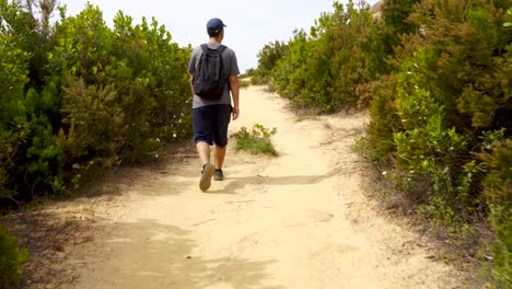 Guy-with-backpack-and-hat-hiking-alone-on-mountain,-walking-through-green-bushes-on-narrow-footpath