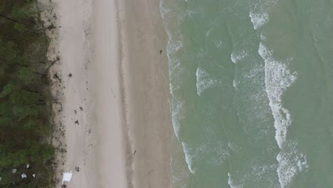Aerial-birdseye-view-of-Baltic-sea-coast-on-a-overcast-winter-day,-beach-with-white-sand,-coastal-erosion,-climate-changes,-wide-drone-shot-moving-forward