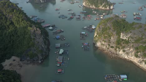 Aerial-tilt-reveals-Van-Gia-fishing-village-and-Ha-Long-Bay,-Vietnam
