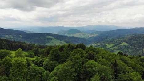 Grüner-Wald-In-Beskid-Sadecki,-Polen,-Luftbild