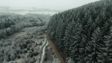 Drone-establishing-reveal-of-snow-and-frost-covered-forest-in-the-remote-wilderness-of-Dalby-forest-full-of-confier-christmas-trees