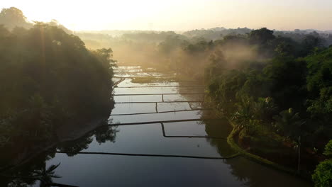 Scenic-aerial-view-of-flooded-rice-field-farmlands-during-the-sunrise,-dolly-in-shot-of-a-beautiful-rice-field-landscape-in-Thailand