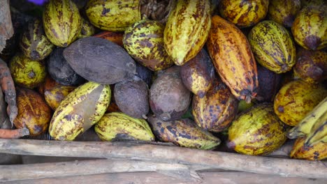 Kakaostapel-Im-Lebensmittelgeschäft-Auf-Dem-Tropischen-Marktplatz-Im-Freien,-Halbinsel-Samana,-Dominikanische-Republik