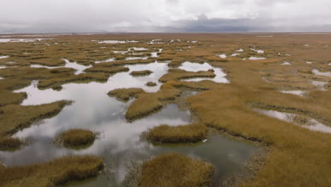 Drone-flies-over-marsh-in-Central-Peru