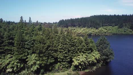 Drone-shot,-rotating-angle-of-bush-in-the-middle-of-a-lake-in-New-Plymouth,-New-Zealand