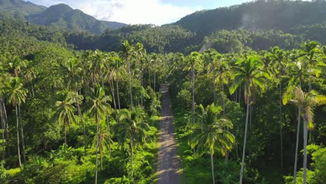 Touristischer-Roller-Im-Landesinneren-Auf-Der-Tropischen-Insel-Camiguin-Philippinen,-Vorwärtsantenne