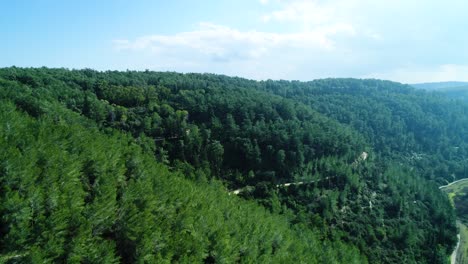 Drone-shot-of-a-forest-in-northern-israel