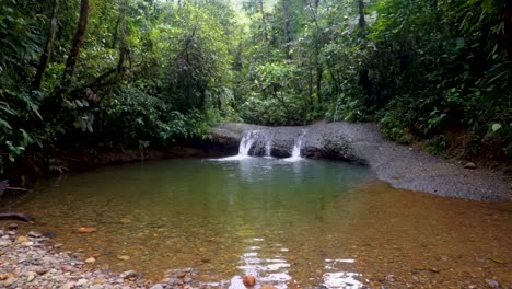 Un-Pequeño-Estanque-En-La-Selva-Pruviana