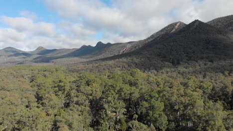 Luftaufnahme,-Die-Langsam-Aufsteigt-Und-über-Den-Australischen-Eukalyptuswald-Und-Den-Großen-Tauchbereich-Blickt