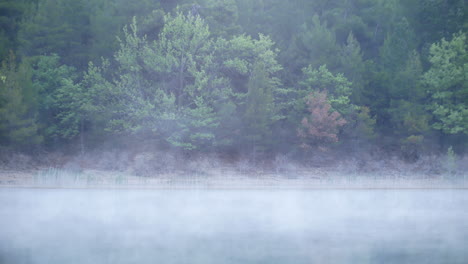 White-transparent-mist-floats-across-still-lake-by-lakeside-green-trees-in-background-on-sunny-day,-static