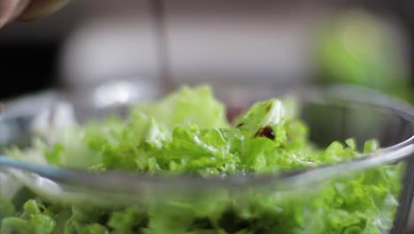 Einen-Salat-Würzen