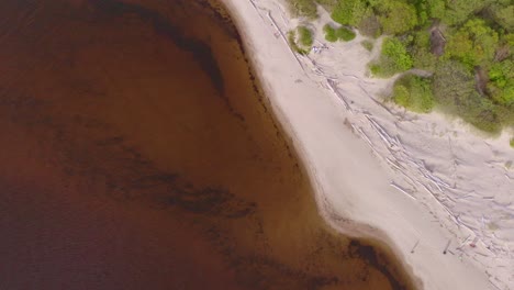 Water-polluted-Baltic-sea-Carnikava-beach-aerial