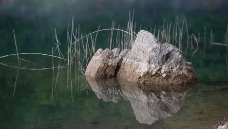 Stone-rock-and-delicate-grass-in-clear-shallow-lake-waters,-static-close-up