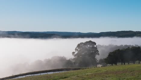 Eine-Nahaufnahme-Im-Zeitraffer-Von-Nebel,-Der-Sich-Um-Einen-Farmdamm-In-Victoria,-Australien,-Auflöst