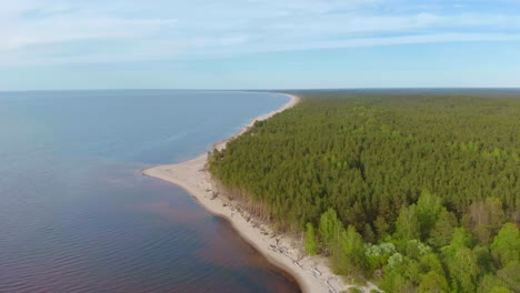 Paradies-Europäisch-Carnikava-Lilaste-Lettischer-Wald-Luft