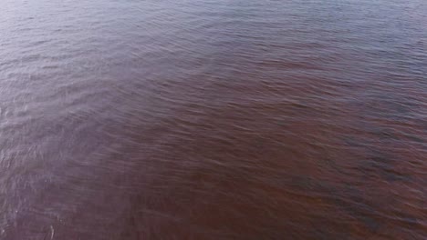 Red-shallow-mysterious-waters-of-Baltic-sea-Carnikava-aerial