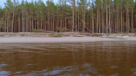 Bosque-Embrujado-De-Miedo-De-Carnikava-Piejura-Letonia