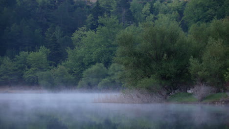 Early-morning-fog-moves-above-still-lake-waters-with-green-trees-in-background,-static