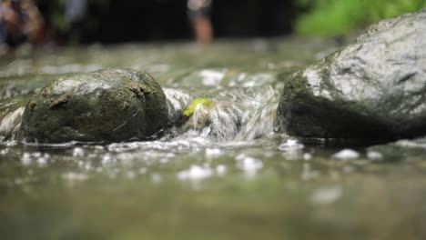 A-close-up-shot-of-a-bickering-stream-of-water-in-the-jungle-rainforest-of-Tanzania-with-stones-in-the-water